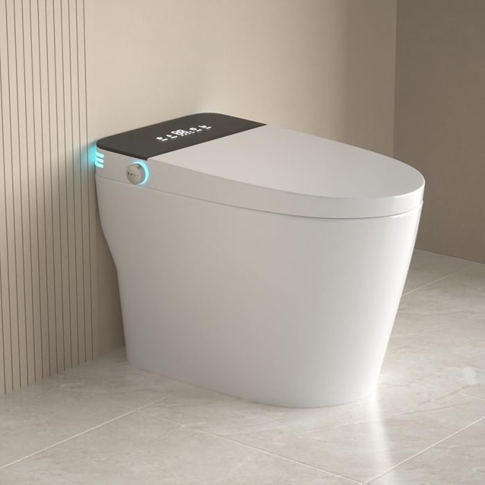 5.inodoro smart