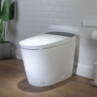 8.inodoro smart