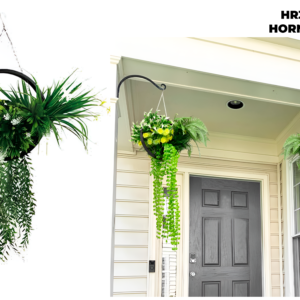 Plantas Colgantes